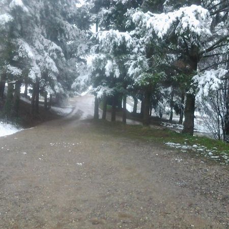 Gite De Prejeurin Echalas Dış mekan fotoğraf