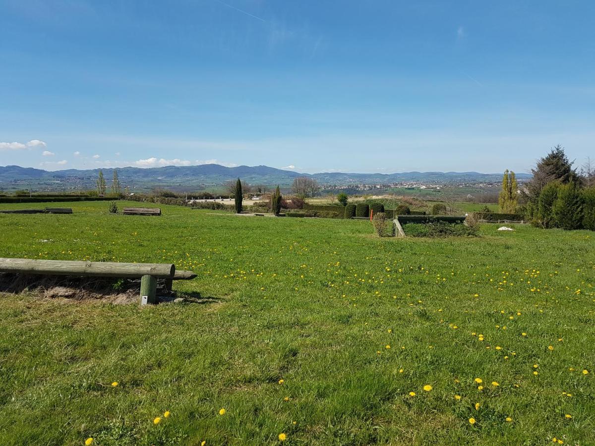 Gite De Prejeurin Echalas Dış mekan fotoğraf