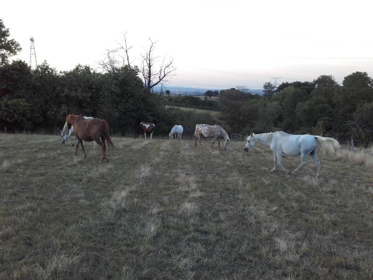 Gite De Prejeurin Echalas Dış mekan fotoğraf
